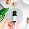 ECO. Modern Essentials Digestive Essential Oil Blend, 10ml