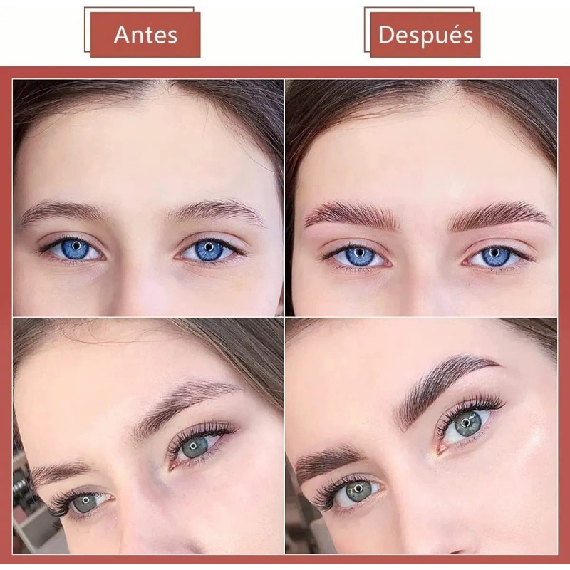 Kit De Laminación De Cejas, Kit De Permanente De Cejas,diy