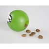 Rogz Fun Dog Treat Ball in various sizes and colors,
