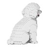 JEKCA Toy Poodle 03S-M01