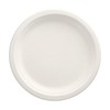 50 Plates Sugar Cane Pure Undivided Diameter 23 cm 2