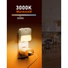 FLOWood Night Light Socket with Twilight Sensor and Motion Sensor,