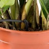 LST 50 x Garden Irrigation Automatic Drip System 405 Mini