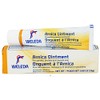 Weleda Arnica Ointment - 0.88 oz