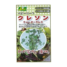 KS100 Series KS100 Series Kaneko Seeds Seedling Gardening Seeds Watercress Vegetable 100 707