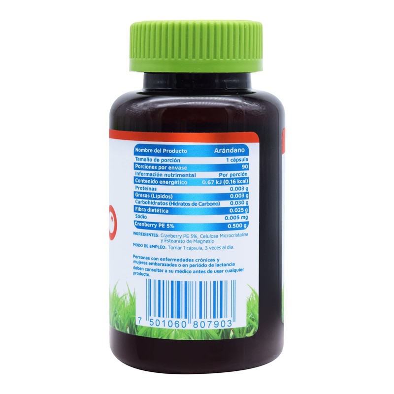 Arandano Vidanat 90 caps