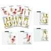 Hand, Foot, Shoulder, Hip Support Card Chart with clipboard Set.