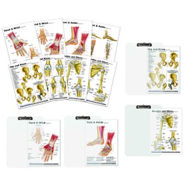 Hand, Foot, Shoulder, Hip Support Card Chart with clipboard Set.