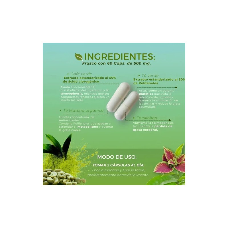 Te Verde Puro + Matcha Biosuple Control Peso 60 Caps