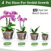 Orchid Pot 12 Pack | 3 of Each 4,5,6,7 Inch,Orchid