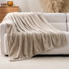 Sushing Luxury Flannel Warm Throw Blanket, Soft Lightweight Silky Plush