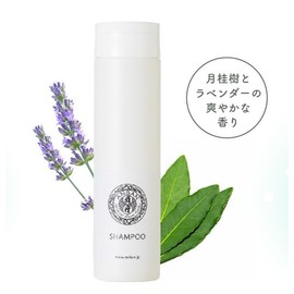 ANBAN Japanese Chinese Shampoo, No Rinse Required, Fluffy, Smooth, Natural Shampoo, Scalp Care
