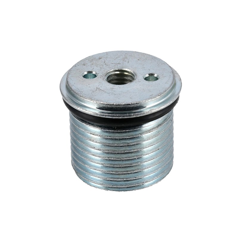 Set of 2 Threaded Plugs with O-Ring SWH Fork