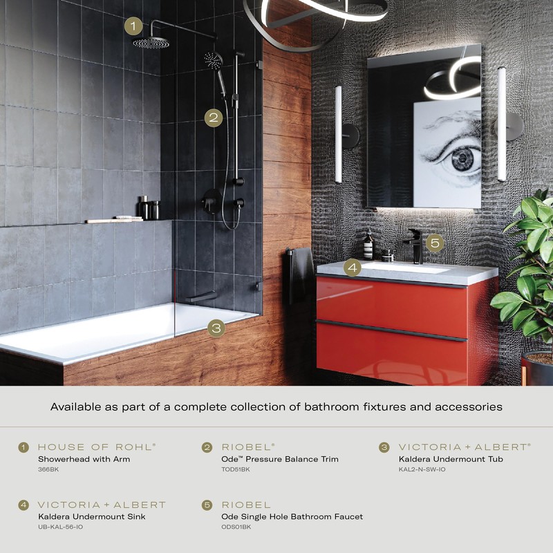 6" 2-Function Showerhead With ArmBLACK