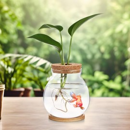 Milisten Betta Fish,Glass Fish with Wood Lid and Bamboo Stand Clear Hydroponic Plant Terrarium for Promoted Ecosphere Aquatic Ecosystem