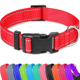 Taglory Reflective Adjustable Dog Collars for Puppy Small Medium Large Dogs, Thin Nylon Webbing and Quick Release Plastic Buckle(Red, Small)