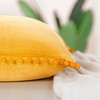 PiccoCasa Velvet Pillow Covers, 1PCS Pom Pom Christmas Throw Pillow