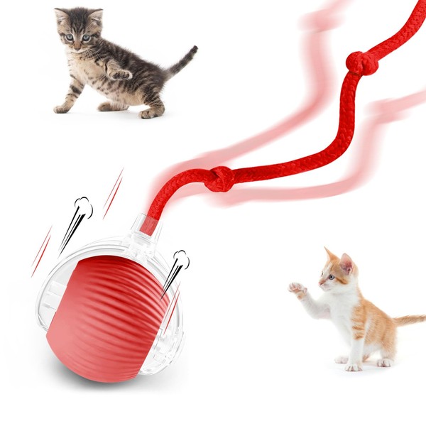 Doweve Interactive Cat Toys for Indoor Cats, Smart Moving Interactive