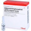 ATP Injeel Forte Ampoules Pack of 10