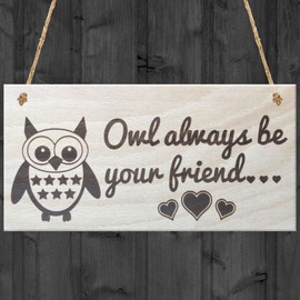 Red Ocean Owl Always Be Your Friend Novelty Best Friends Love Friendship Cute Wooden Hanging Plaque Gift Sign