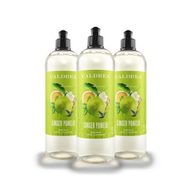 Caldrea Dish Soap, Biodegradable Dishwashing Liquid made with Soap Bark and Aloe Vera, Ginger Pomelo, 16 oz , 3 Pack