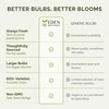 Eden Brothers Ranunculus Bulbs - Cafe