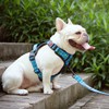 PoyPet No Pull Dog Harness, Reflective Adjustable No Choke Pet