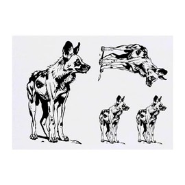 4 x 'African Wild Dog' Temporary Tattoos - Water Resistant, Skin-Safe, Non-Toxic Transfers, Mixed Sizes (TO00071268)