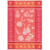 Now Designs Ambrosia Pear - Toalla de Cocina Jacquard de