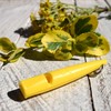 ACME Dog Whistle No. 210.5 with Instructions (English language not