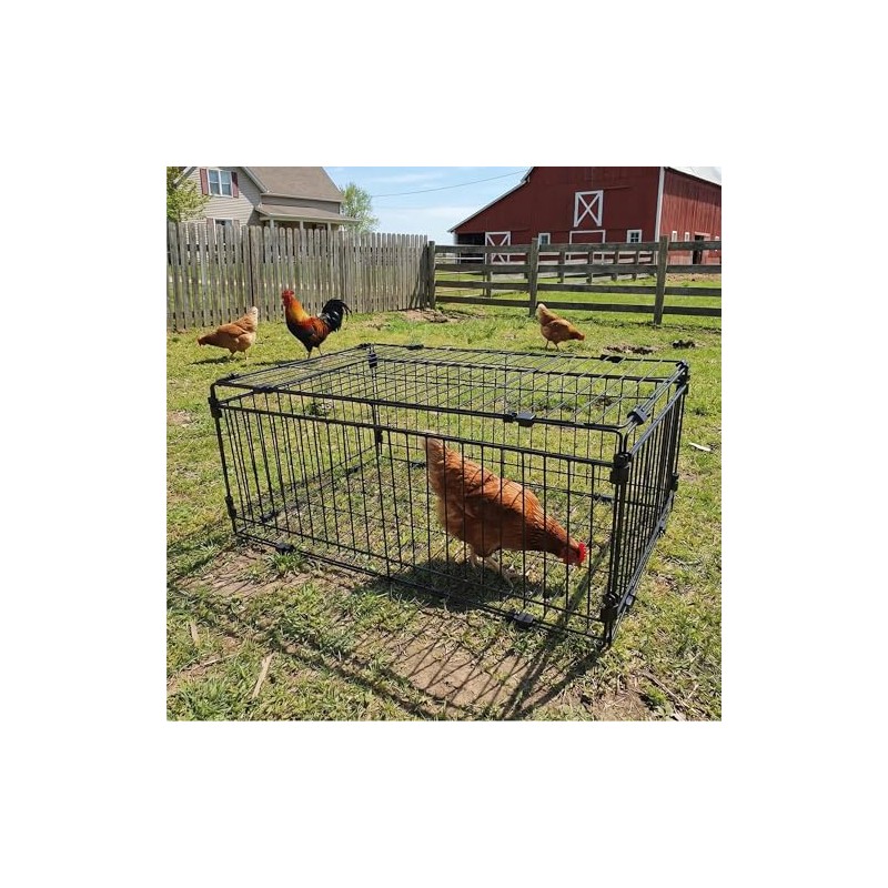 Bird Trap Cage Pigeon Quail Chicken Outdoor Trapping Live Small