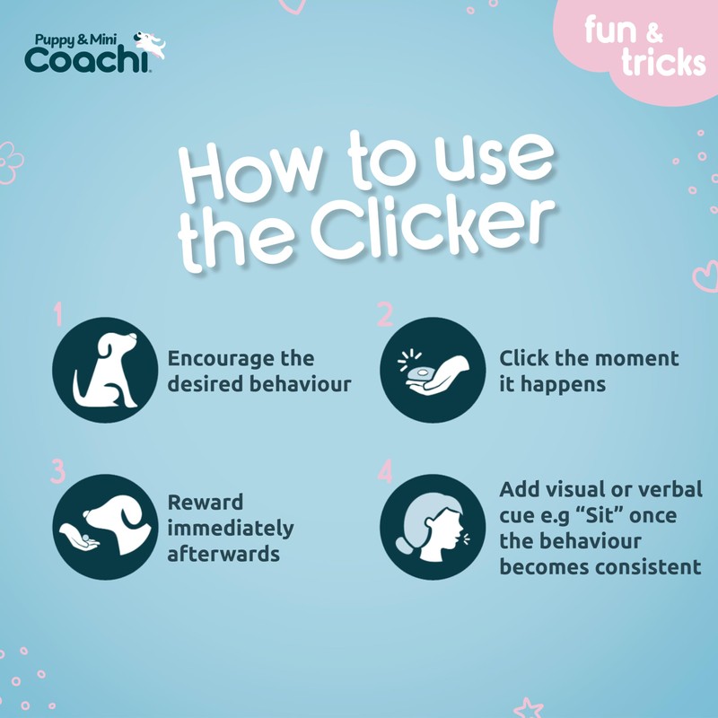 Coachi Puppy & Mini Whizzclick - 2-in-1 Combined Clicker and