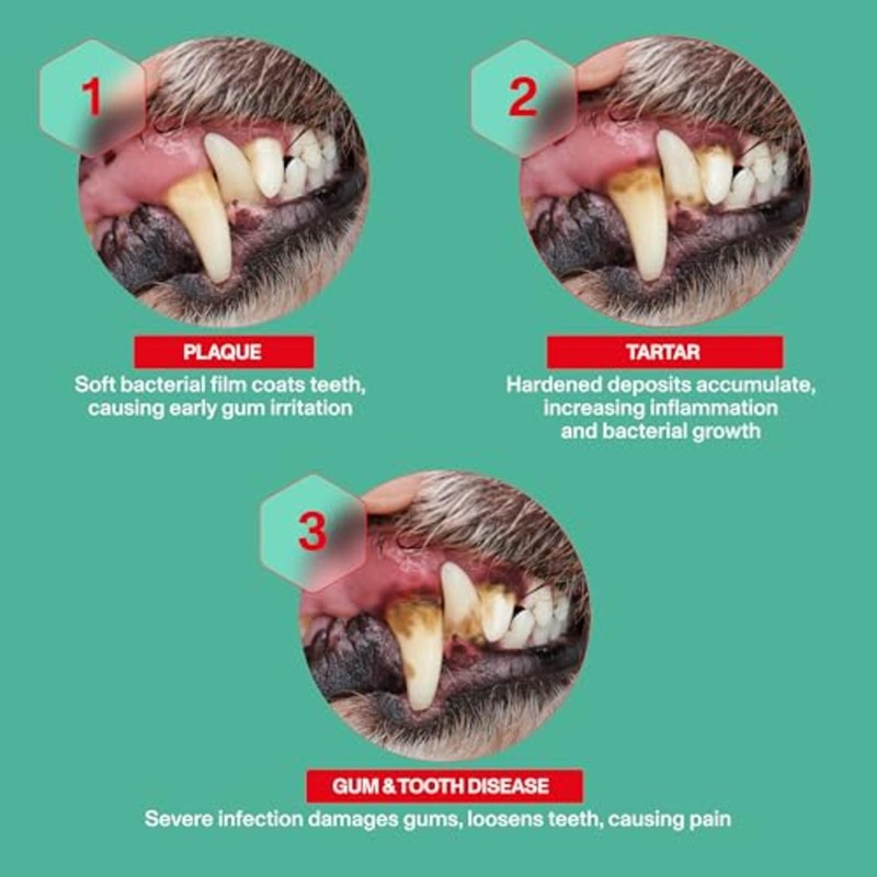 Omni Dental Sticks for Dogs - Dual Texture with PlaqBlast™
