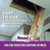 MouseX Throw Packs- for All Species of Rats Mice Safe