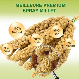 MEILLEURE 2LB Spray Millet for Parakeet Food - All Natural Millet Grain of Parrot Food - Non-GMG Sun-Dried Bird Treats for Cockatiel, Finch, Budgie, Hamster, Bird Food Bulk