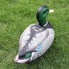Cifavor Realistic Plastic Mallard Duck Decoy, Floating Hunting Decoy for