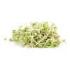 Trigo En Grano Buenahora® 5kg