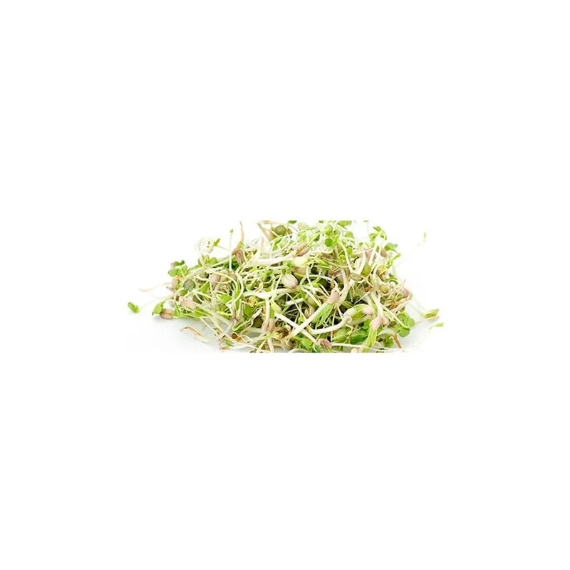 Trigo En Grano Buenahora® 5kg