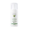 Logona Mint Purify Foam Cleansing 100ml / 로고나 민트 퓨리파이 폼클렌징 100ml