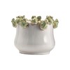 Creative Co-Op Stoneware Planter with Frogs on Rim and Reactive