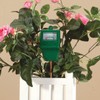 Simply Conserve AM Conservation Group Green Indoor & Outdoor Soil