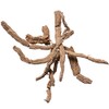 Plum Dragon Herbs Ba Ji Tian Chinese Herb | Morinda Root Herbs - Chinese Herb 1 Oz