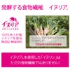 イヌリン 400g 帝人イヌリア100%使用 水溶性食物繊維 顆粒 オランダ産 チコリ由来 無添加・無保存料
