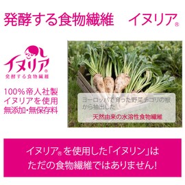 イヌリン 400g 帝人イヌリア100%使用 水溶性食物繊維 顆粒 オランダ産 チコリ由来 無添加・無保存料
