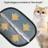 E Luvas Removedoras De Pelos De Animais, Remoo De Pelos