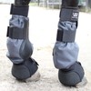 Woof Wear 2022 Mud Fever Boots - Black/Turquoise