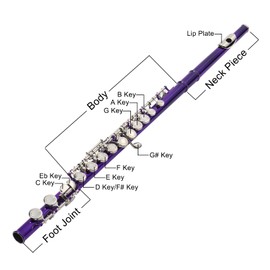 Ktaxon C Closed Hole Flute 16 Keys Flutes Kit for Students, Professionals & Beginner, Orchestra Musical Nickel Flute with Hard Case, Cleaning Rod, Cloth, Gloves (Purple)
