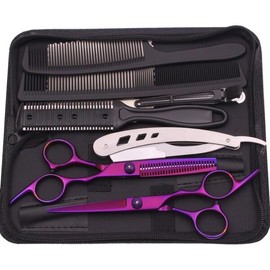 HeiLan 미용 가위 스테인리스 헤어 보라색 커팅 이발소 세트 빗 C1001 [17 C1001 HeiCheng D 6N] Beauty Scissors Stainless Steel Hair Purple Cutting Barber Set Comb C1001 [17 C1001 HeiCheng D 6N]