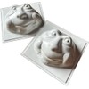 Smiling Stone Concrete Mould Set of 2 Garden Moulds