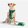 Wild One Harness 2.0 - Small - Spruce